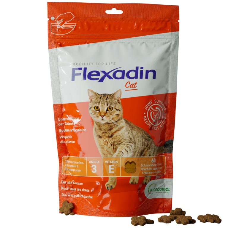 Flexadin Cat wsparcie dla stawów 60 szt