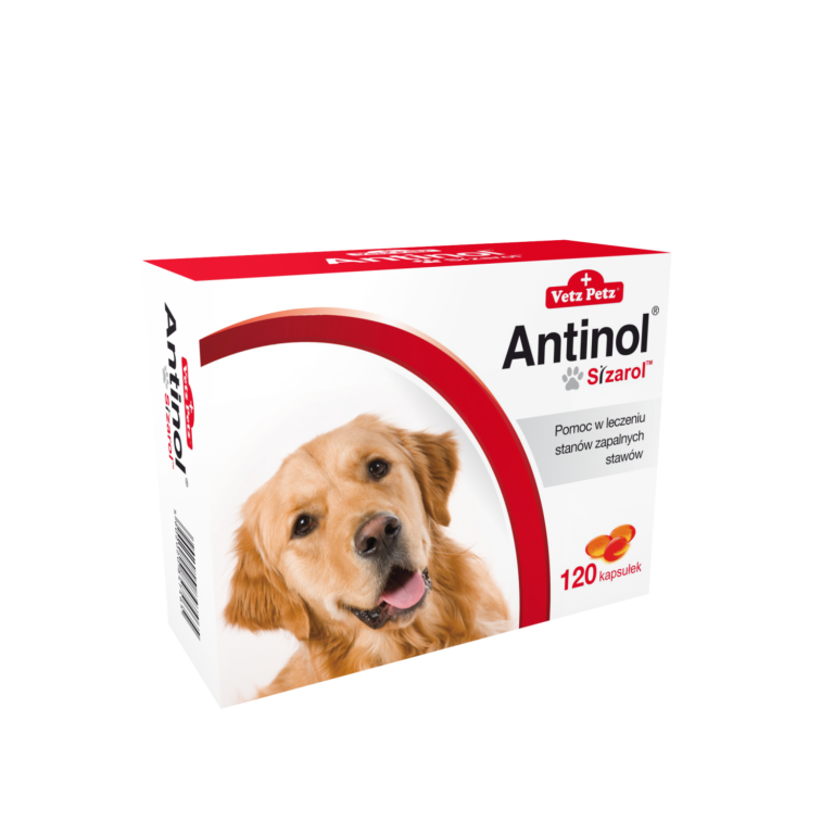 Antinol 120 kaps